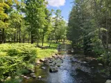 Saratoga Springs, NY, USA with a view of a picnic area by a brook at the Saratoga Spa State Park.