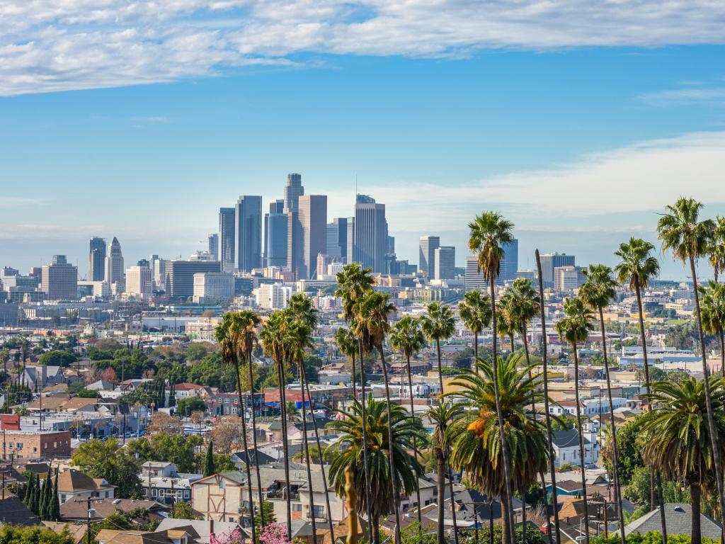 Cloudy day of Los Angeles downtown skyline and palm trees in foreground