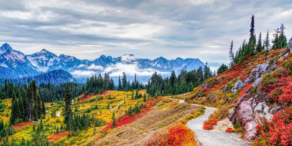 Paradise area at Mount Rainier National Park, Washington