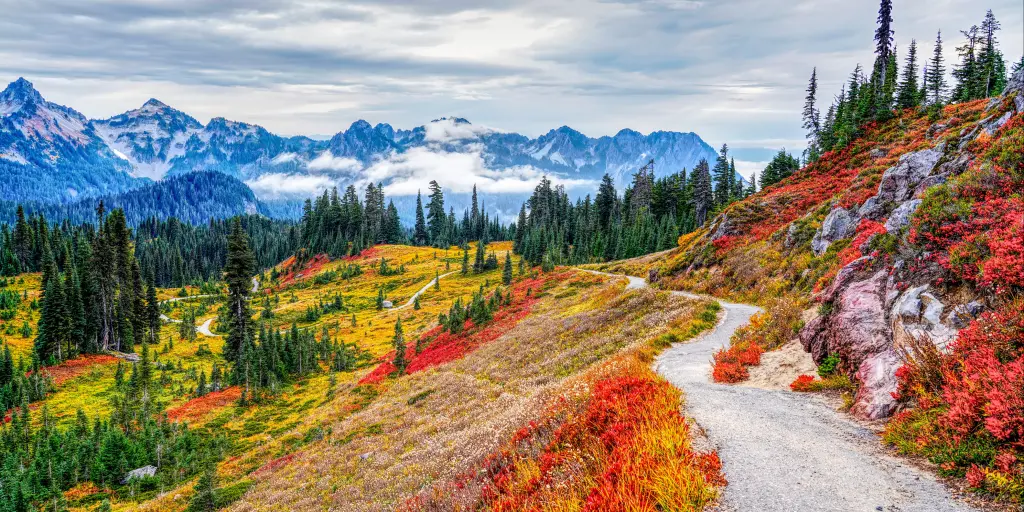 Paradise area at Mount Rainier National Park, Washington