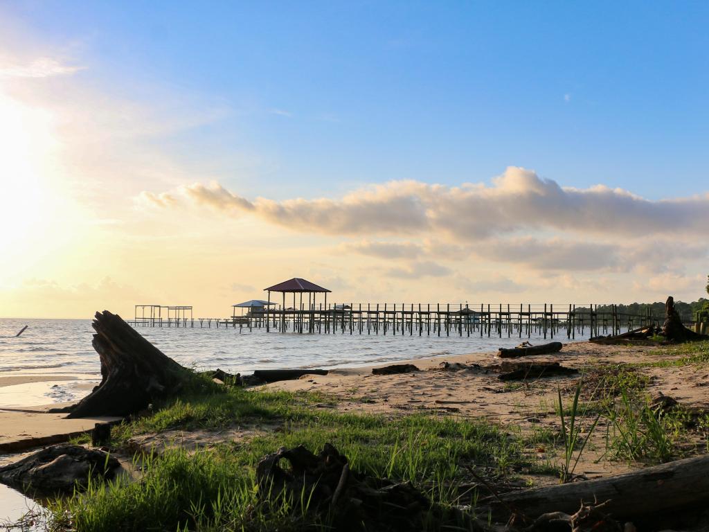 Mobile Bay, USA with the shoreline at late afternoon evening, with the pier in the background and a fallen tree in the foreground.
