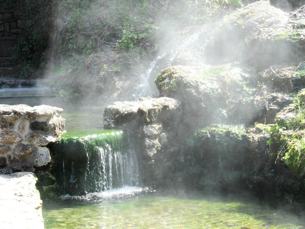 Steaming waterfall with clear green water and trees on the banks