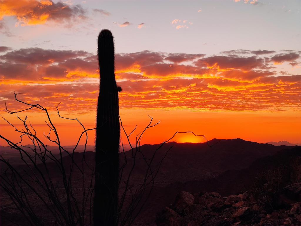 Skyline Regional Park, Buckeye AZ, USA at sunset with a cactus in the foreground as a silhouette. 