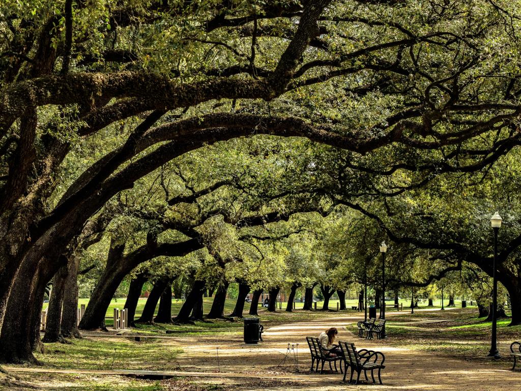 Park in Houston, Texas