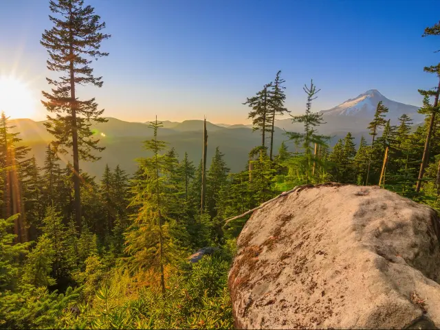 View of Mt. Hood, Oregon, across forested mountains on a bright, sunny day