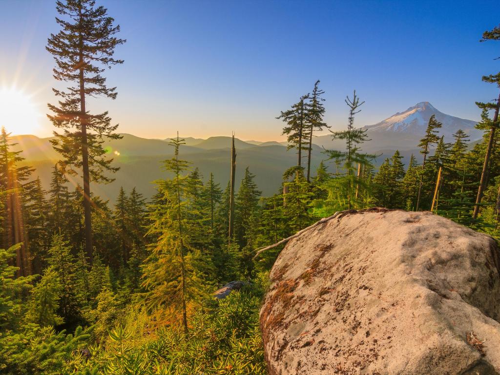 View of Mt. Hood, Oregon, across forested mountains on a bright, sunny day