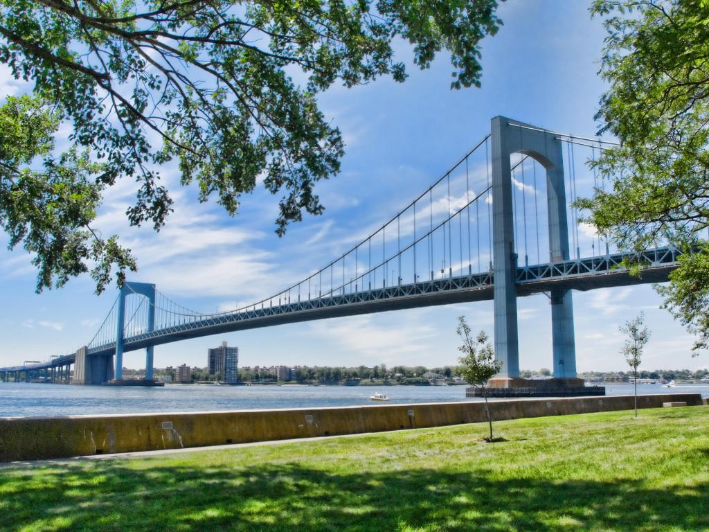 View of the bridge on a sunny day with trees in the foreground, framing the photo