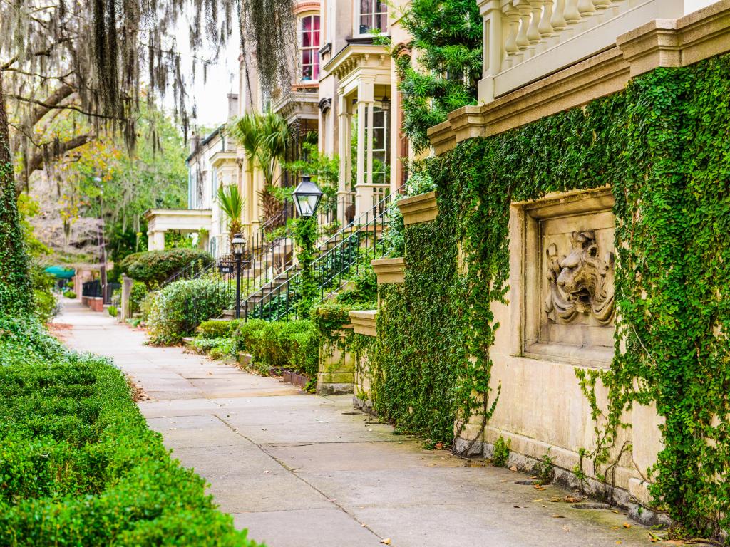 Spanish moss hanging off buildings in streets of Savannah