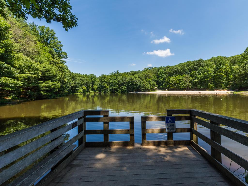 Landscape of the swimming and fishing area, with wooden walkway and surrounding lush forest, in Tuscarora State Forest 