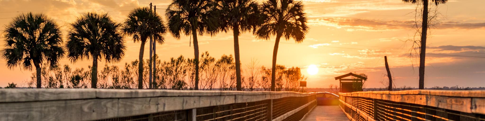 Gainesville florida at sunset with a Boardwalk over the water leading to the distance and palm trees silhouetted against the setting sun.