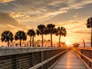 Gainesville florida at sunset with a Boardwalk over the water leading to the distance and palm trees silhouetted against the setting sun.