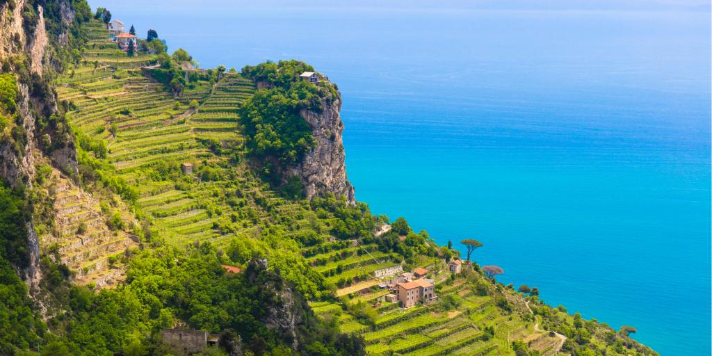 Beautiful views from path of the gods with lemon tree fields, Amalfi coast, Campagnia region, Italy