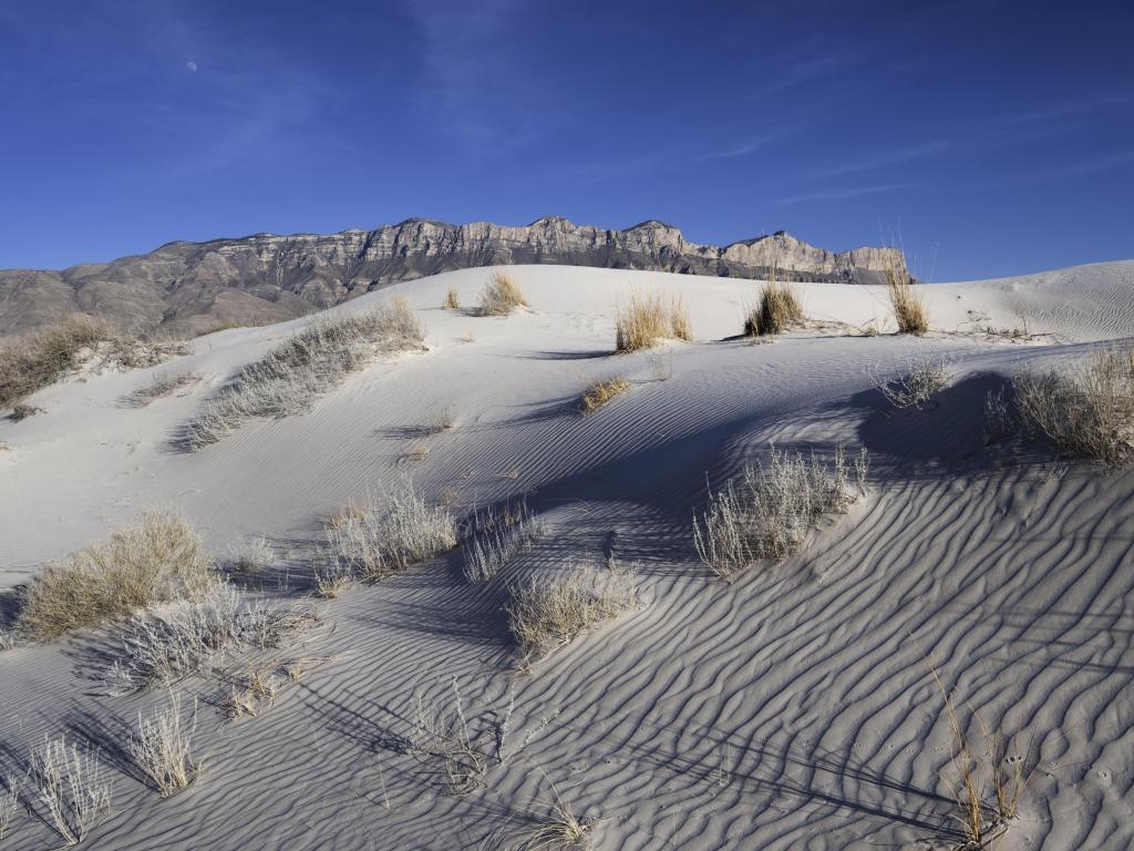 Beautiful white dunes made out of Gypsum grains in Guadalupe Mountains National Park
