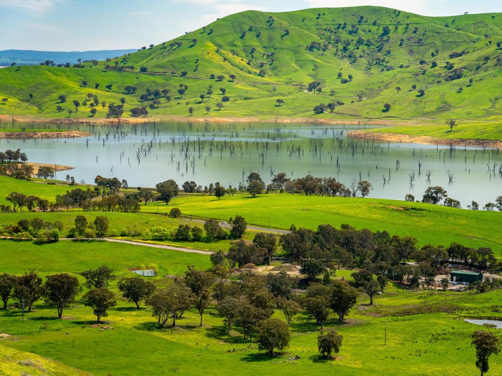 Tallangatta, Victoria, Australia with a lookout in rural Victoria on a sunny day with green hills and lake.