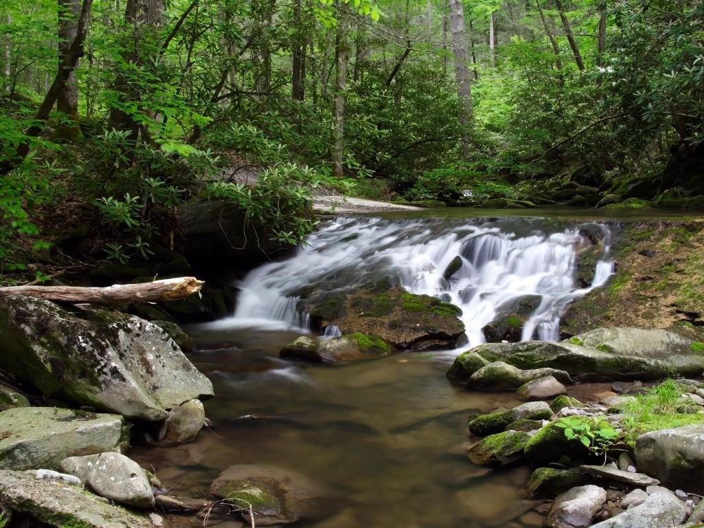 Great Falls, South Carolina, USA small creek spills over and woodland in the distance.