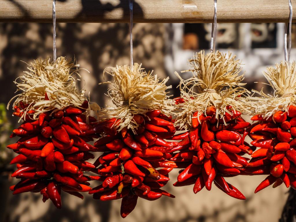 Red chillis drying on strings