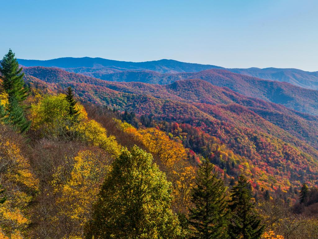 Great Smoky Mountains National Park