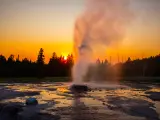 Eruption geyser At sunset. Yellowstone National Park, Wyoming, USA.