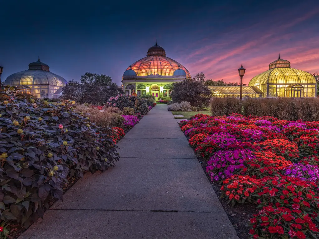 A picturesque view of a lit Buffalo and Erie County Botanical Gardens after sunset and vibrant flowers in the pathway in front of the garden