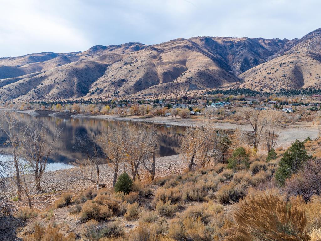 Topaz Lake, Nevada, USA taken at the shore with trees and plants in the foreground and hills in the distance on a sunny day. 