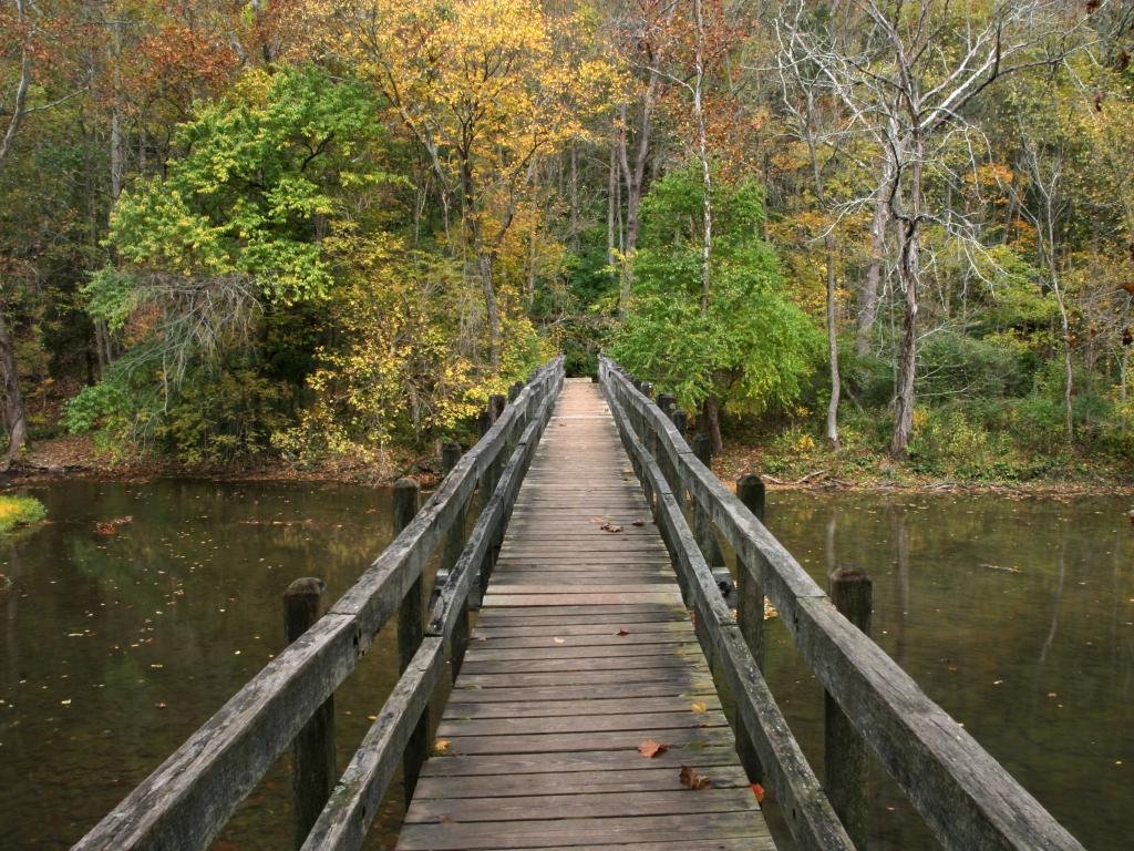 Wooden Foot Bridge, John Bryan State Park near Yellow Springs, Ohio