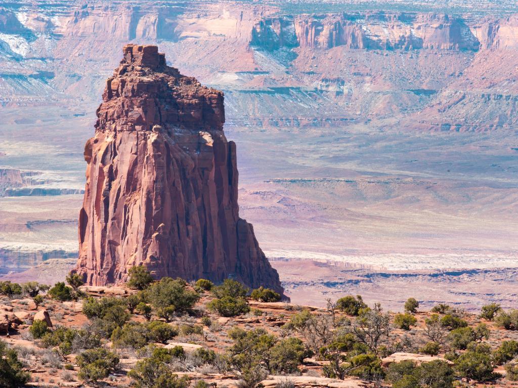 View of Candlestick Tower, Canyonlands National Park with shrubbery in the foreground and the vast canyon behind with red rock