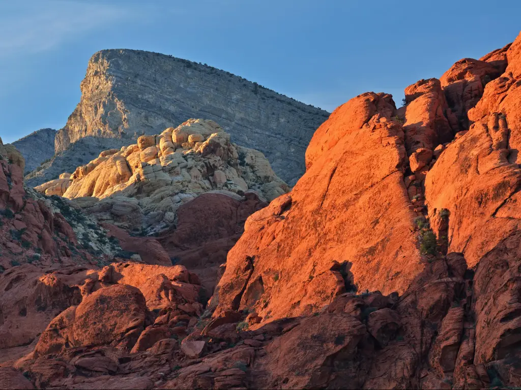 Rocky desert landscape at sunset, Red Rock Canyon National Recreation Area, Las Vegas, Nevada, USA. 