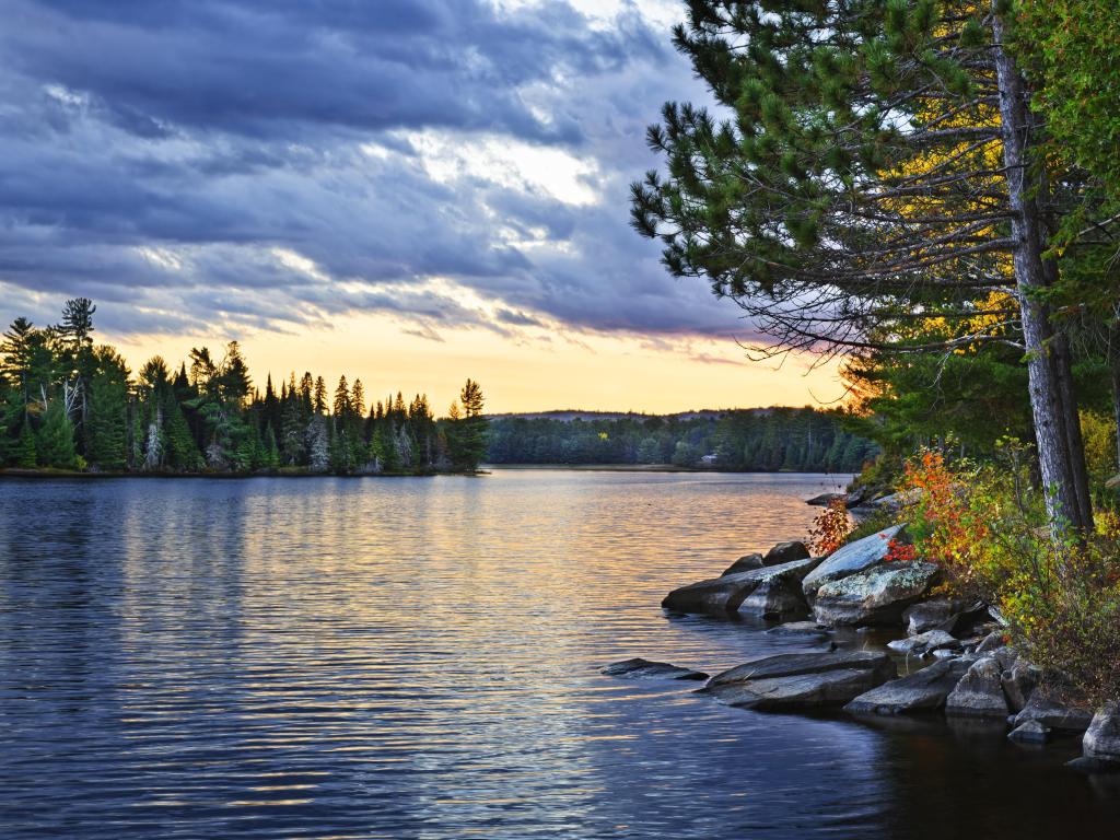 Dramatic sunset and pines at Lake of Two Rivers in Algonquin Park, Ontario, Canada