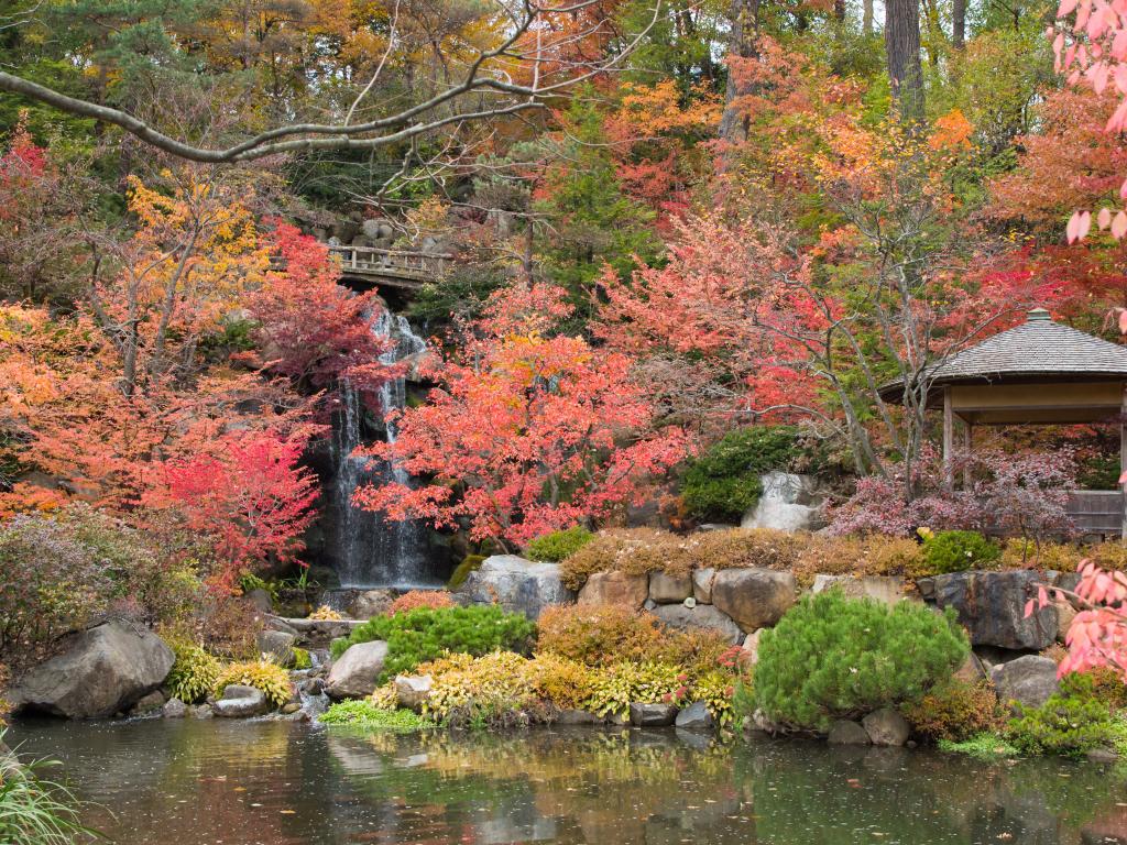 Anderson Japanese Gardens, Rockford Illinois