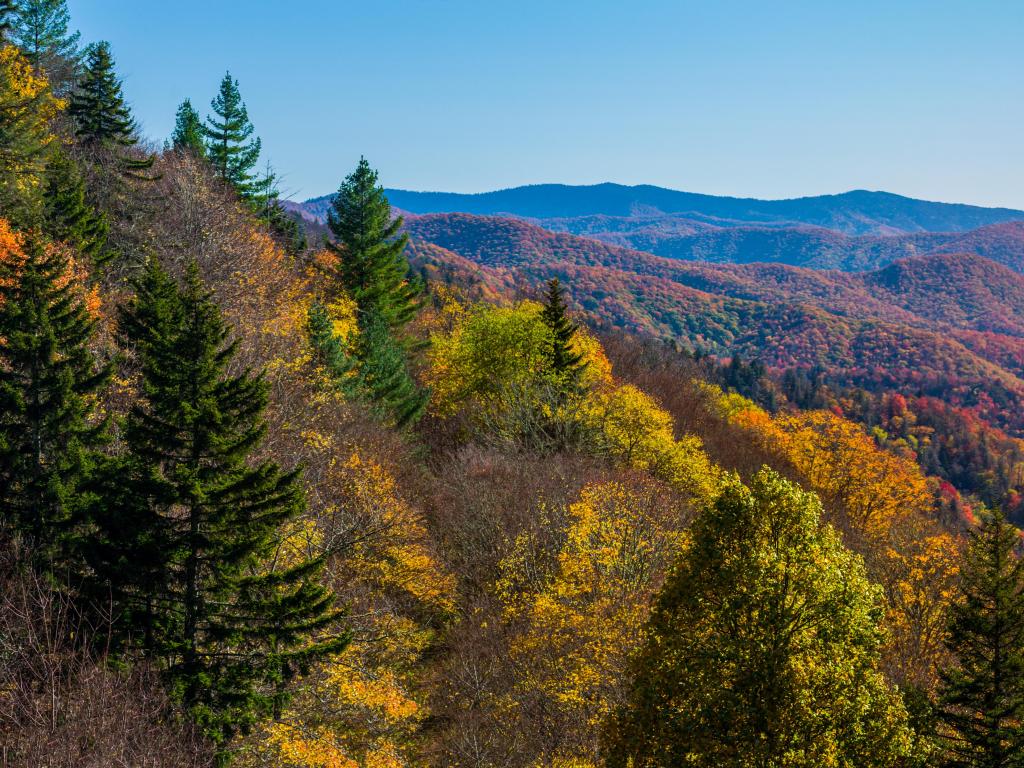 Autumn Scenics in the Great Smoky Mountains National Park