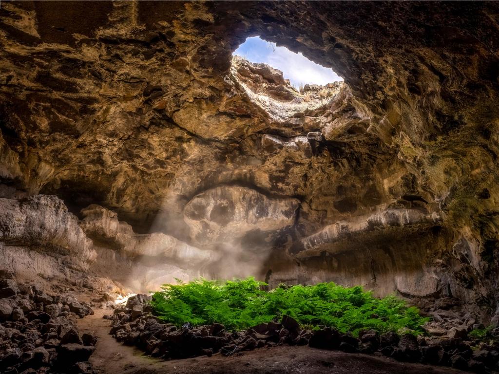 View of Mammoth Cave with light shining through to the underground