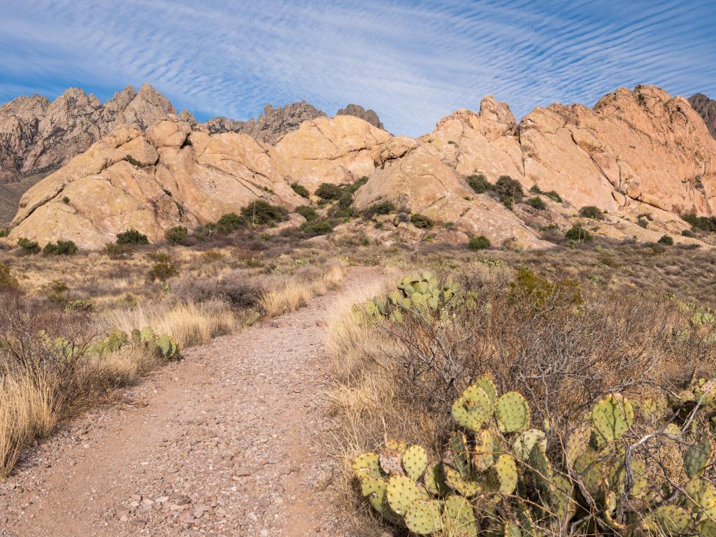 A hiking path leads to dramatic views of the Organ Mountains from the western side of the Monument