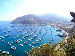 Santa Catalina Island, Avalon, California, USA taken as a panorama shot around the bay with boats in the distance and trees in the foreground on a sunny clear day.