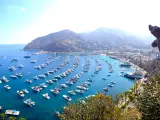 Santa Catalina Island, Avalon, California, USA taken as a panorama shot around the bay with boats in the distance and trees in the foreground on a sunny clear day.