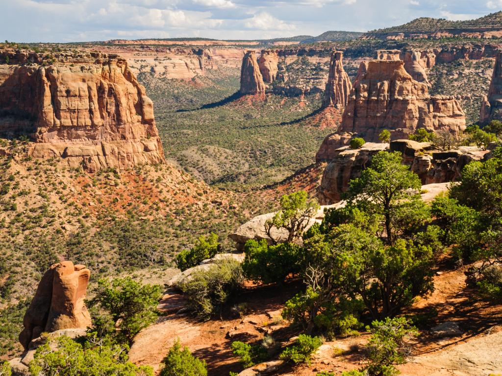 Colorado National Monument, USA with a beautiful view overlooking the trees, cliffs and valleys on a sunny day.