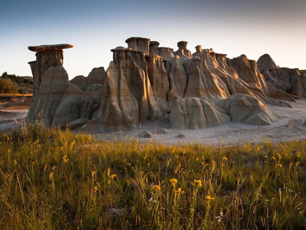 Theodore Roosevelt National Park, ND, USA with its unique Hoodoos and wildflowers in the foreground taken at sunrise.