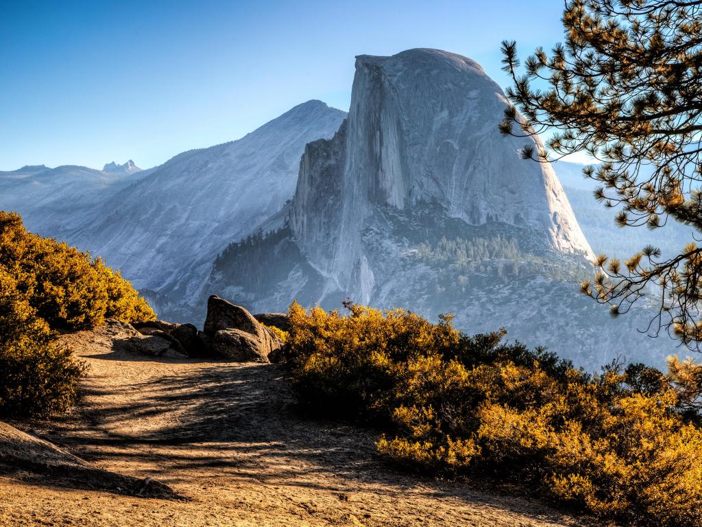 Yosemite National Park, California taken at Half Dome Trail View with bushes and a path in the foreground, a tree to the edge and vast mountain in the background on a clear sunny day.