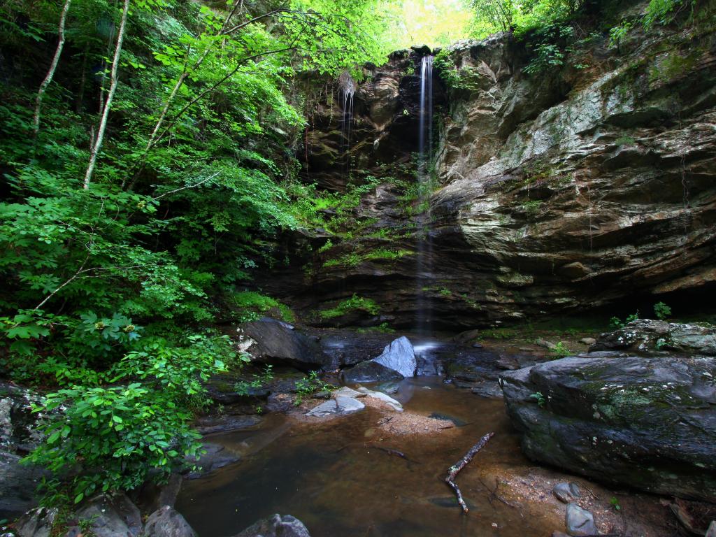 Talladega National Forest, Alabama with a waterfall flowing through the wilderness of the forest.