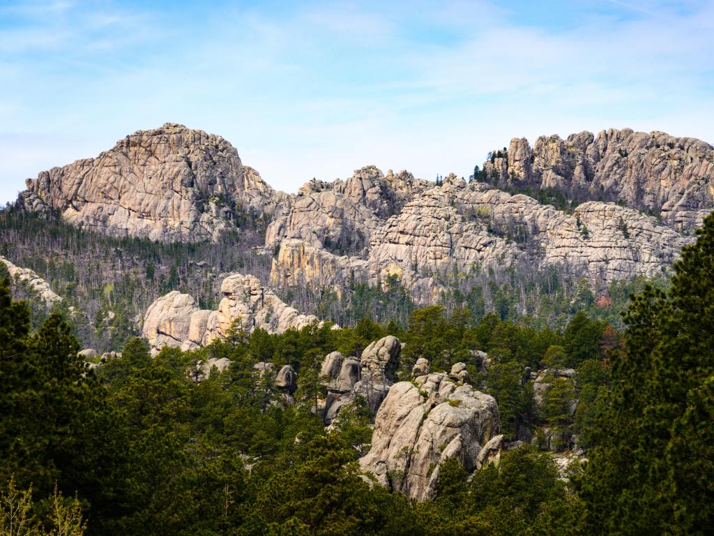 Black Hills National Forest, USA with dense woodland and rocky mountains in the distance on a clear sunny day.