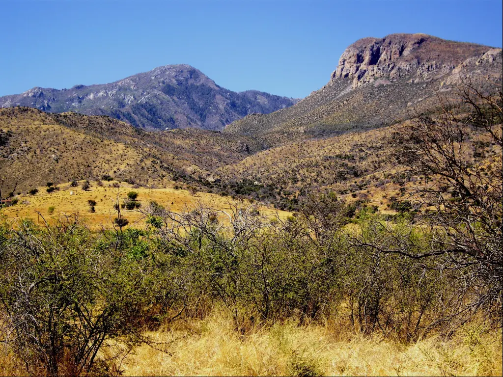 Coronado National Forest, USA with hills and mountains in the distance on a sunny day.