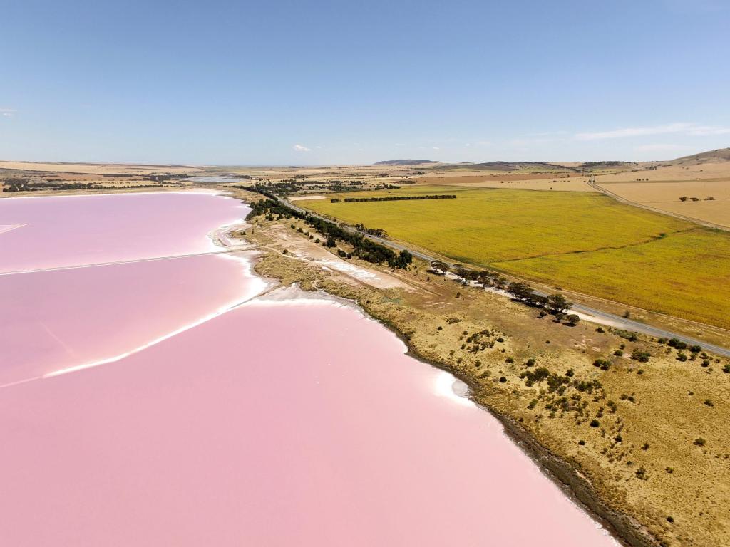 Pink waters of Lake Bumbunga, South Australia