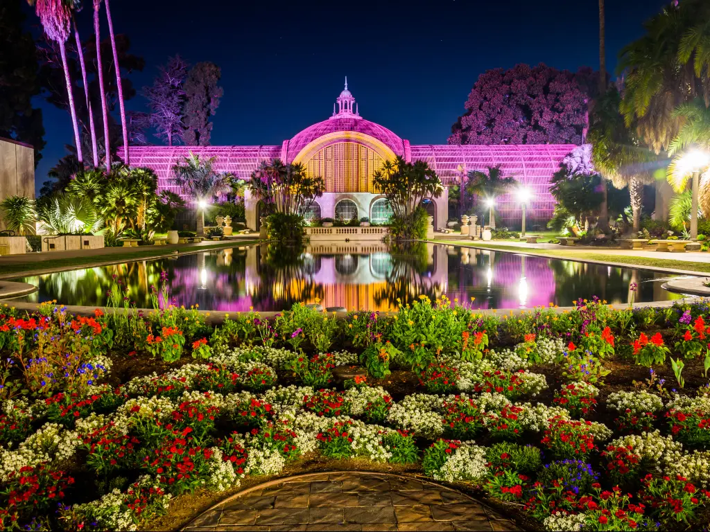 A purple lit Botanical building with different variety of flowers in red, white, violet, and blue and palm trees surrounding the water in Balboa Park, San Diego, California 
