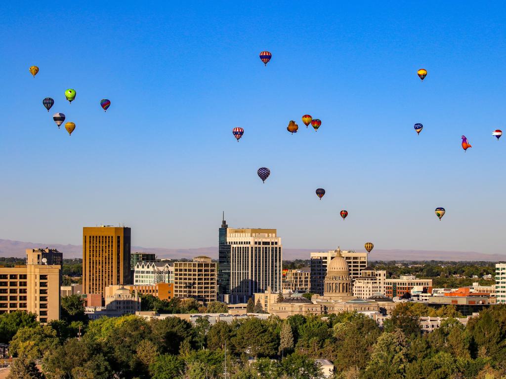 Hot air balloons rise in a clear blue sky above historic and high rise buildings with trees in foreground
