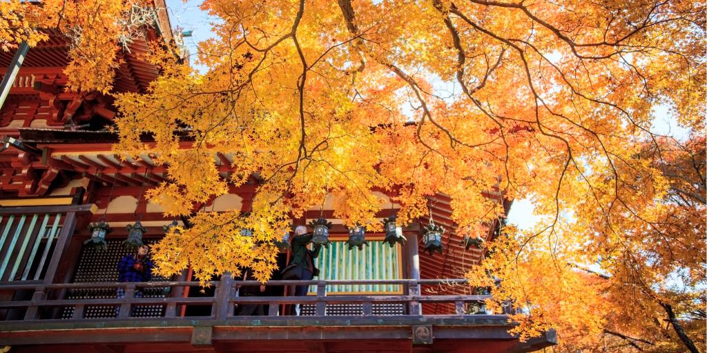 Autumn leaves overhang a shrine in the Japanese Garden in Portland, Oregon