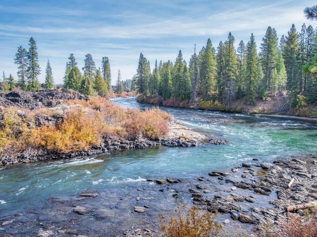 A view of the Deschutes River from the hiking trail along the bank as is bends towards Benham Falls near Bend Oregon.
