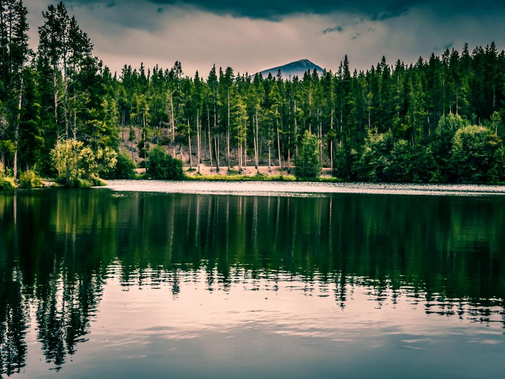 Tall trees surround the water at the National Fish Hatchery in Leadville, Colorado, with a view of Mount Elbert in the distance