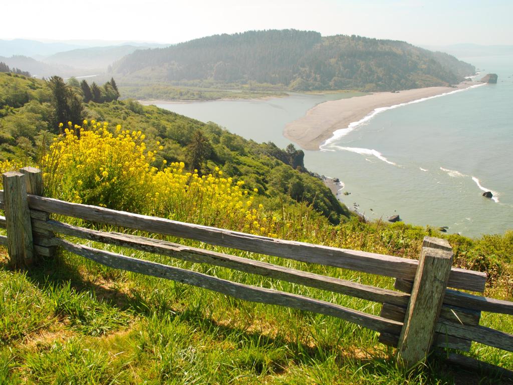 View of the Klamath River meeting the Pacific Ocean, with lush vegetation all around