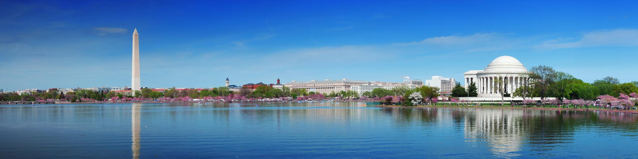 A panorama of the Washington Monument and Thomas Jefferson Memorial, Washington DC with cherry blossoms reflecting the water.