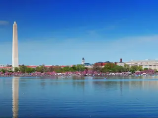 A panorama of the Washington Monument and Thomas Jefferson Memorial, Washington DC with cherry blossoms reflecting the water.
