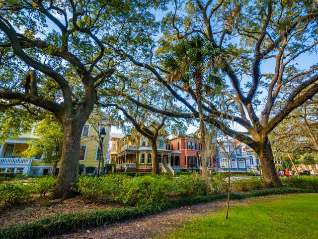 Historic houses lining Forsyth Park with grand live oak trees, in Savannah, Georgia